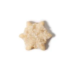 Good Grips Cookie Press Disk Set | OXO -Oxo 11177800 6 snow flake decorated