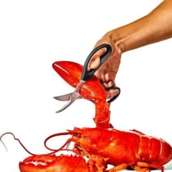 Seafood Scissors -Oxo gg 11350600 seafoodscissors 03 p